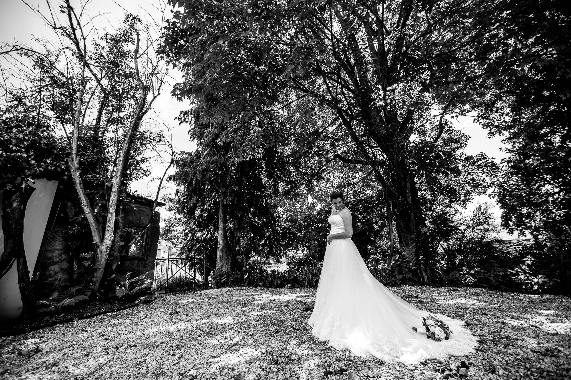 Export x3 1DX27671 Hochzeit 2020 Claudia & Marco 3